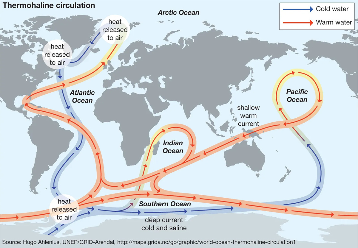 Thermohaline-circulation-transports-water-oceans-heat-process