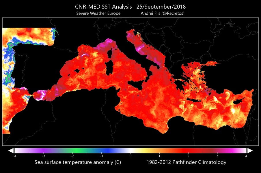analysedsst-in-sstmeddss