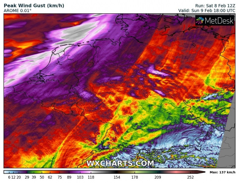 gustkph_20200208_12_030