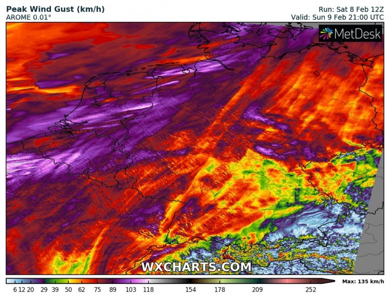 gustkph_20200208_12_033