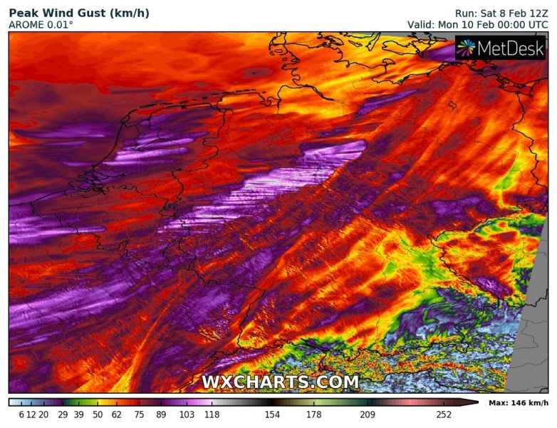 gustkph_20200208_12_036