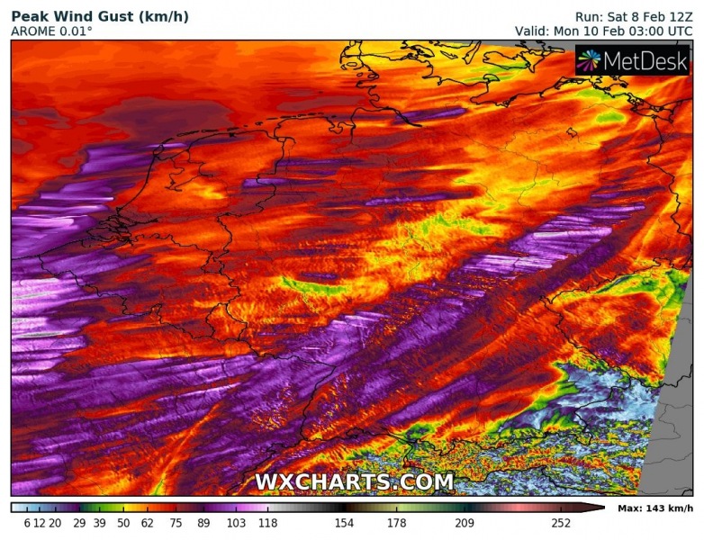 gustkph_20200208_12_039