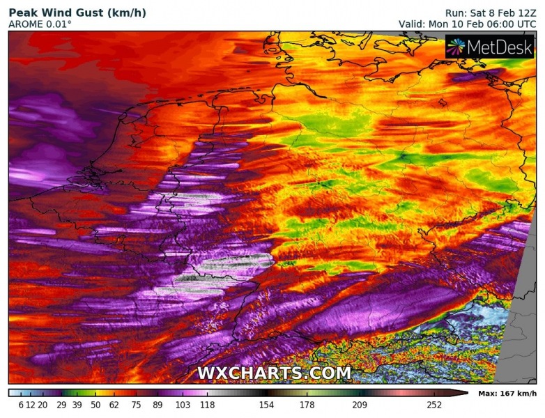 gustkph_20200208_12_042