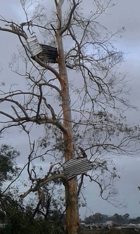 09112017_tornado_San_Vito_damage_3