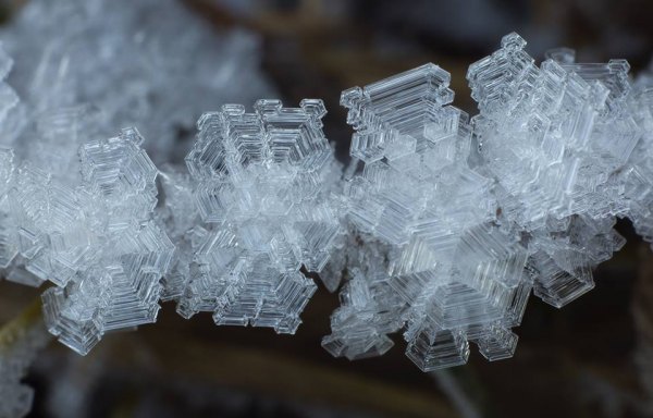 20170103_snowflake_1
