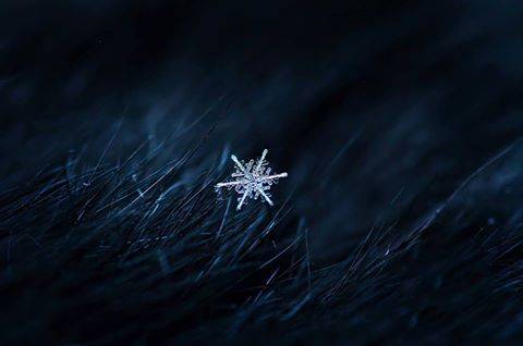 20170103_snowflake_3