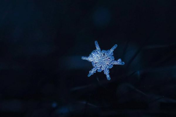 20170103_snowflake_5