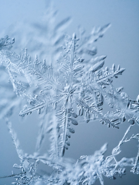 20170108_snowflake_Gramatikov_3