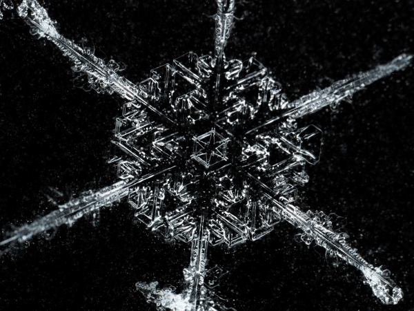 20170108_snowflake_Gramatikov_4