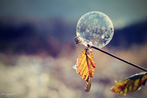 20170111_bubble_2