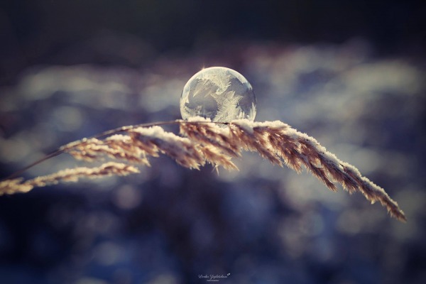 20170111_bubble_3