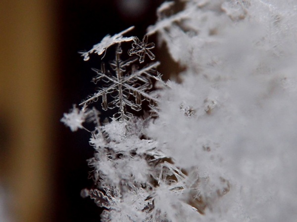 20170111_snowflakes_1