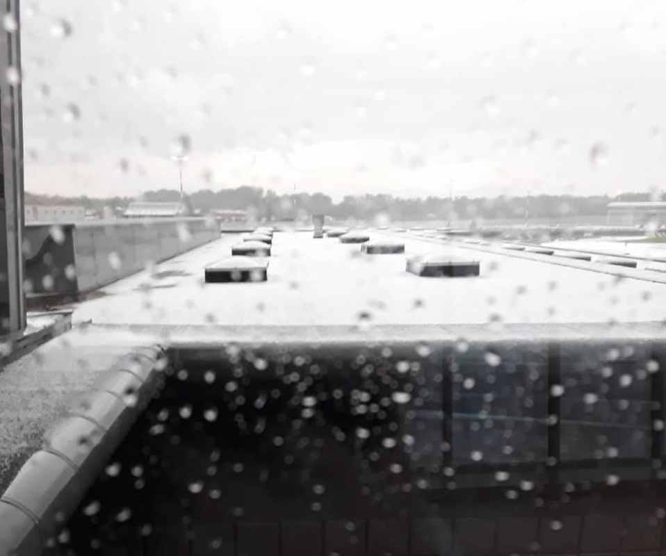 60025519_629803717486686_7239670279423655936_n