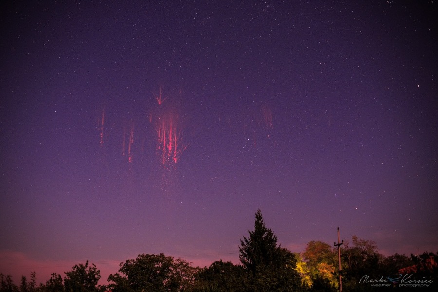 Sprites LW