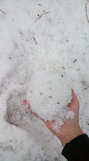 28577560_2059679797611364_7184779881488886030_n