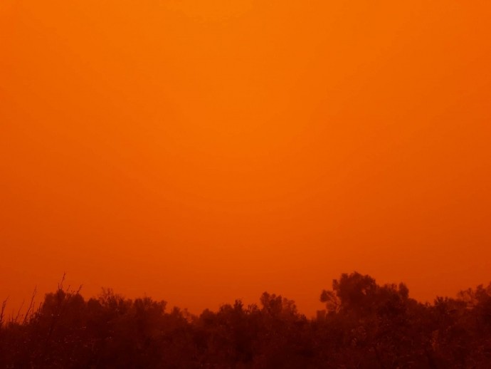 29511236_10156238684506170_6874499472584343552_o