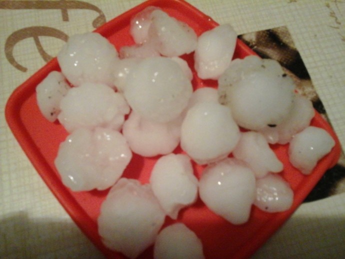 31562325_10214022876717778_1380401741610090496_n