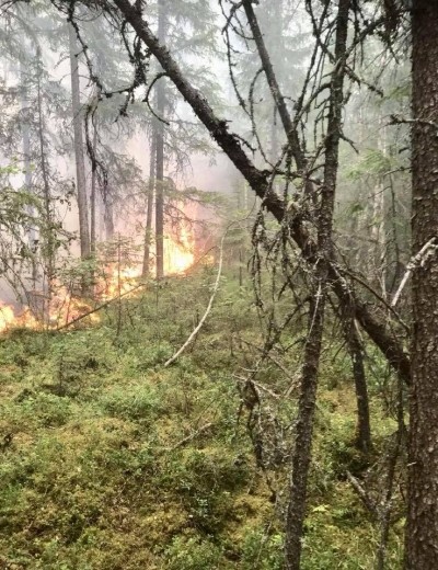 36985556_2271341996226127_1043149983131369472_n