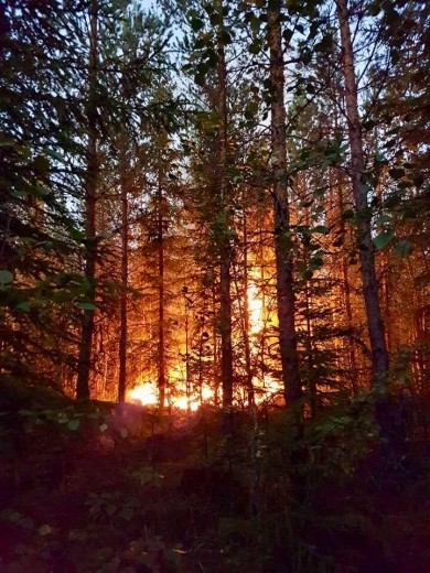 36990015_2271342002892793_3572411706409746432_n