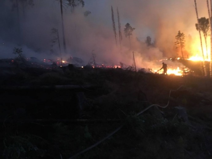 37258223_948291685295511_2631101745828200448_o