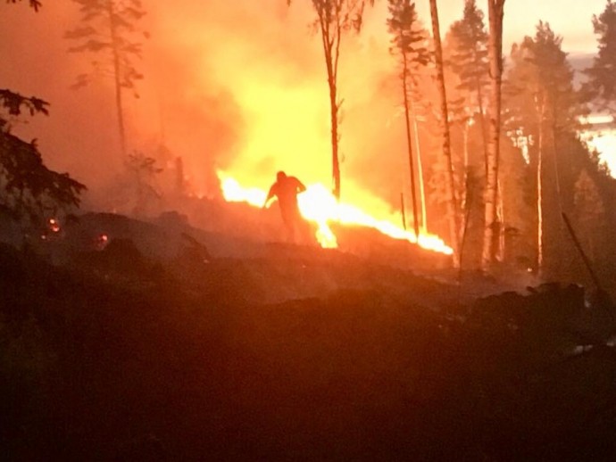 37278945_2279626585397668_8543928152160731136_n