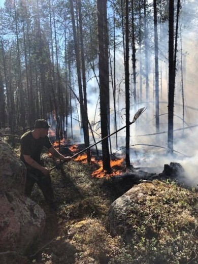 37290199_2280198805340446_2466334052890705920_n