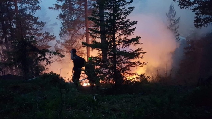 37324672_949596161831730_9039824900063232000_o