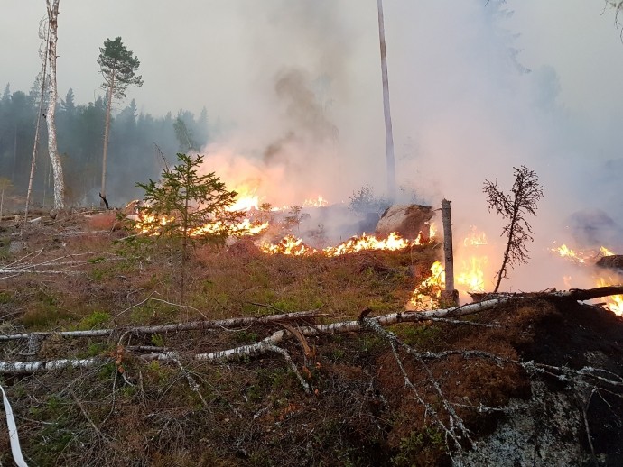 37406445_949896945134985_430200636085108736_o