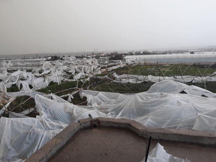 50556290_244156699808559_7952380618560503808_n