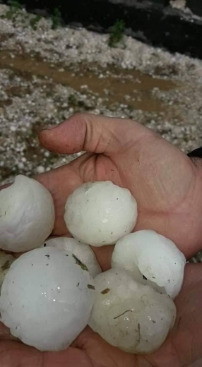 51182288_2098265356895465_7997528309753708544_n