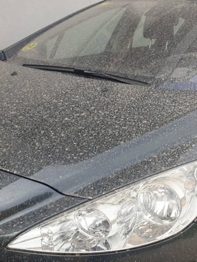 58079772_2249285651796420_6936442027798167552_n