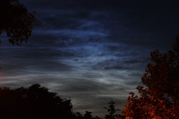 64599032_2960436047345500_7080513926898647040_o