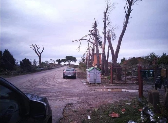 74176238_1354697651378598_2038893646257848320_n