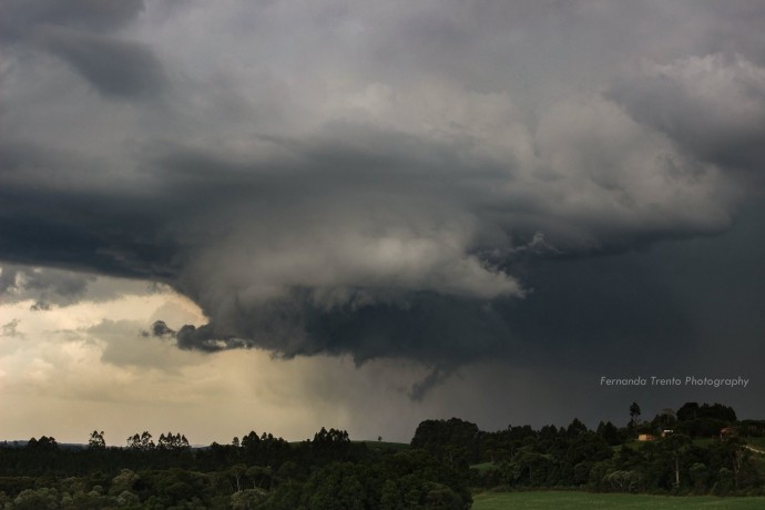 SWE_PC_w9_2018_7_FernandaSkaliszWTrento