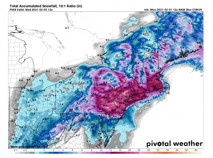 snow-noreaster-new-york-united-states-totals-NAM-model