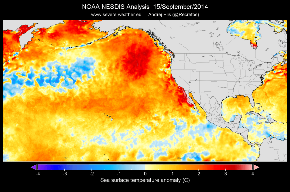 Ocean-heatwave-north-pacific-september-2014-analysis