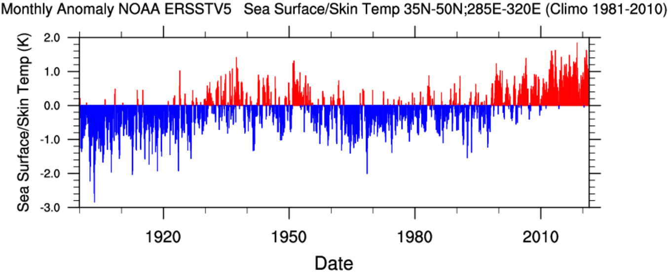 gulf-stream-collapse-temperature-anomaly-northeast-coast-united-states