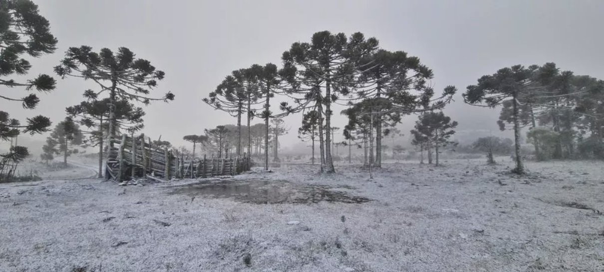 south-america-cold-weather-winter-outbreak-brazil-snowfall-photo