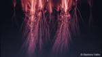 red sprites blue gigantic jets elves upper atmosphere lightning himalaya stephane vetter