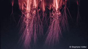 red sprites blue gigantic jets elves upper atmosphere lightning himalaya stephane vetter