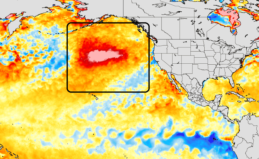 pacific ocean temperature analysis july 2020