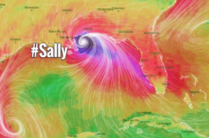 hurricane sally wind swath map