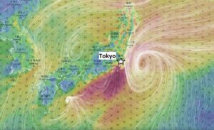 storm dolphin winds Tokyo