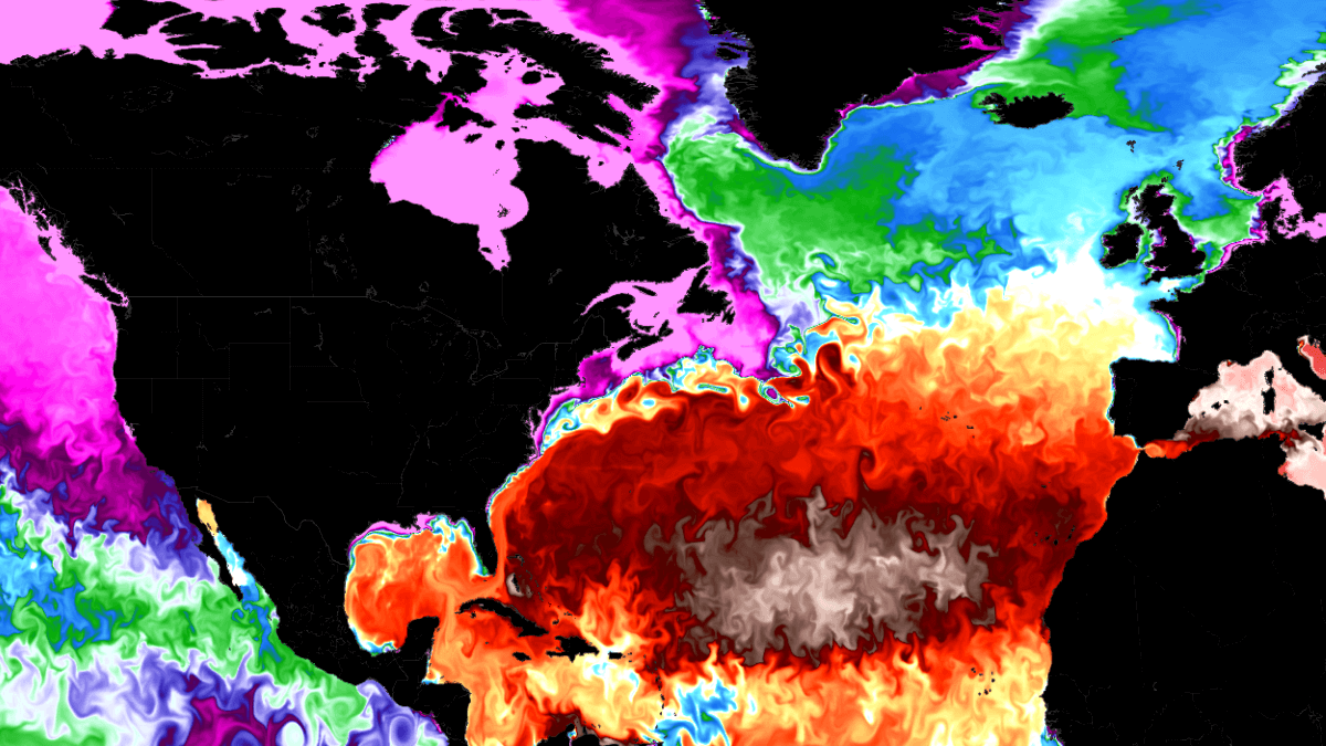 global ocean anomaly gulf stream amoc collapse united states europe weather