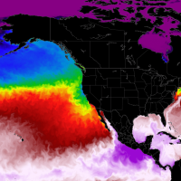 Ocean heatwave north pacific temperature anomaly united states canada