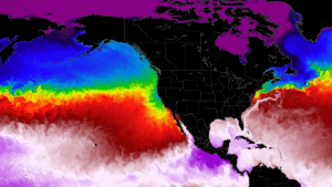 Ocean heatwave north pacific temperature anomaly united states canada