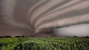 photo contest week 24 2021