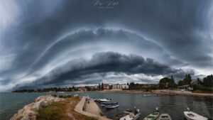photo-contest-week-42-2021-maja-kraljik-shelf