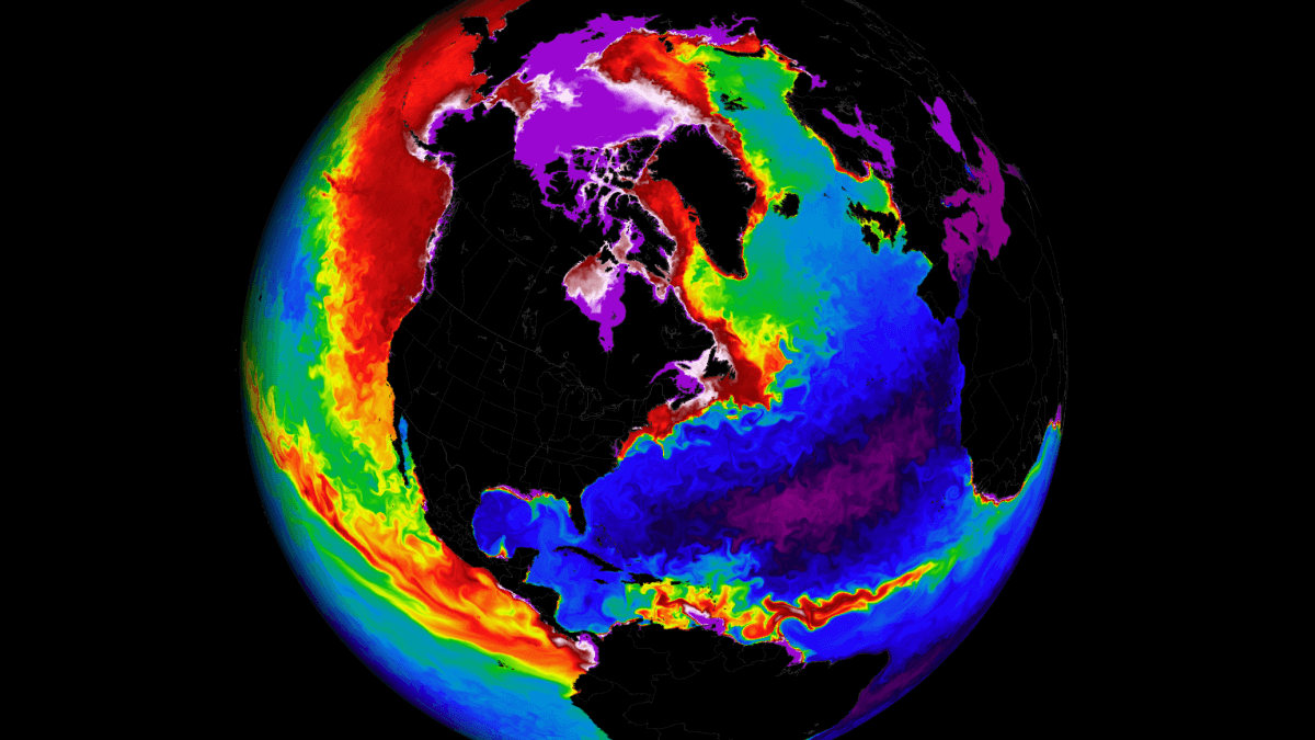 gulf-stream-ocean-surface-winter-temperature-usa-europe-forecast-warm-cold-anomaly