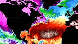 global-ocean-anomaly-gulf-stream-amoc-collapse-united-states-europe-weather-global-cooling